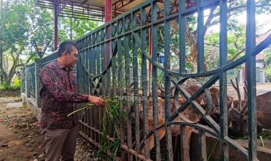 Anggaran Perawatan Kebun Binatang Mini Pemkab Tulungagung Senilai Rp180 Juta